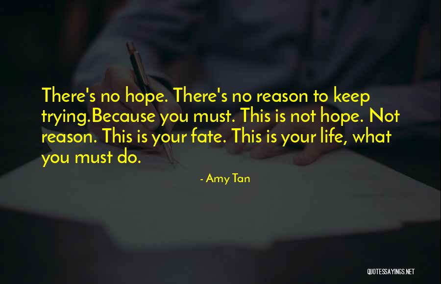 Fco Quotes By Amy Tan Fco Quotes By Amy Tan