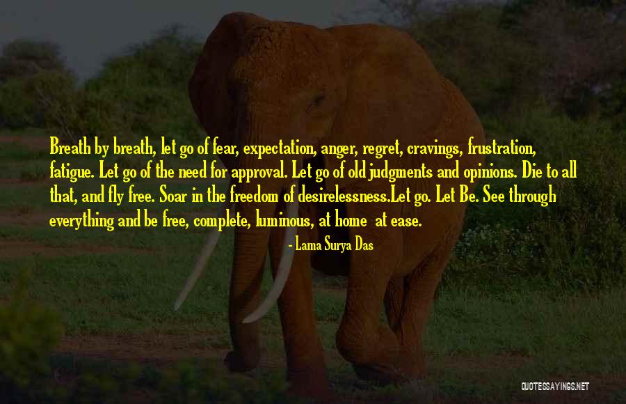 Fear And Anger Quotes By Lama Surya Das Fear And Anger Quotes By Lama Surya Das