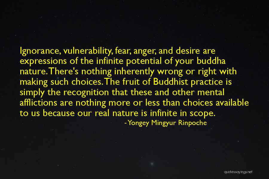 Fear And Anger Quotes By Yongey Mingyur Rinpoche Fear And Anger Quotes By Yongey Mingyur Rinpoche