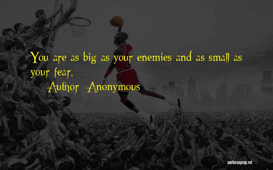 Fear And Bravery Quotes By Anonymous