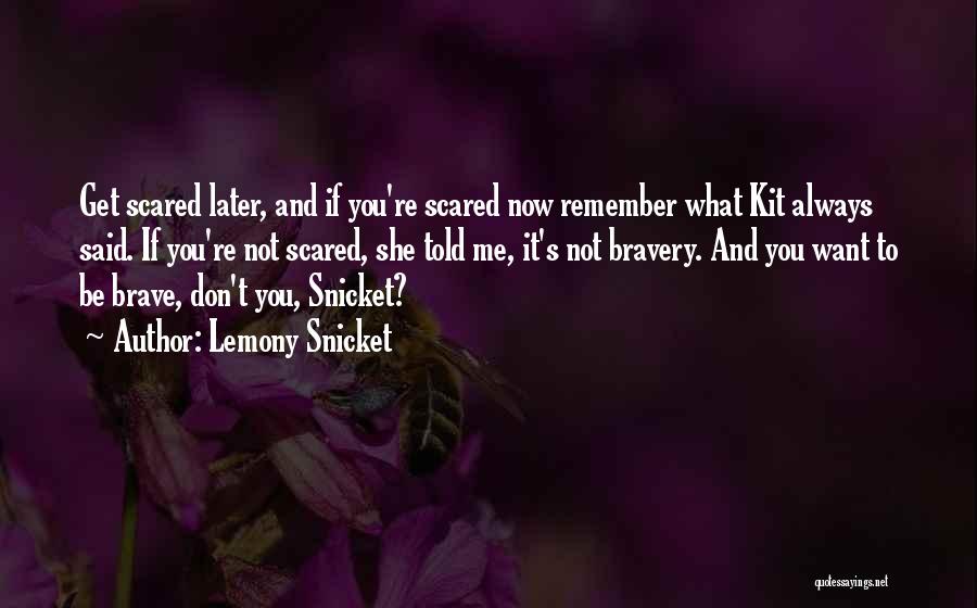 Fear And Bravery Quotes By Lemony Snicket