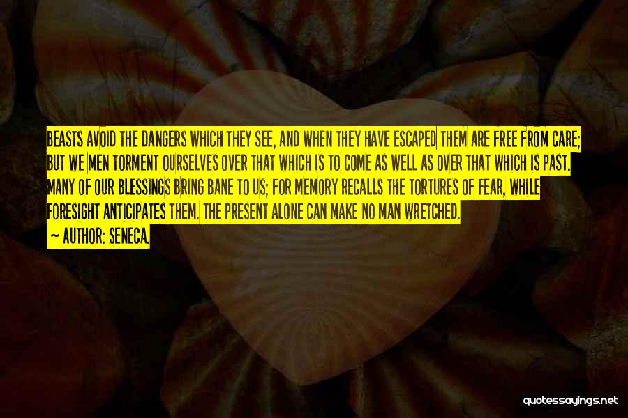 Fear And Foresight Quotes By Seneca.