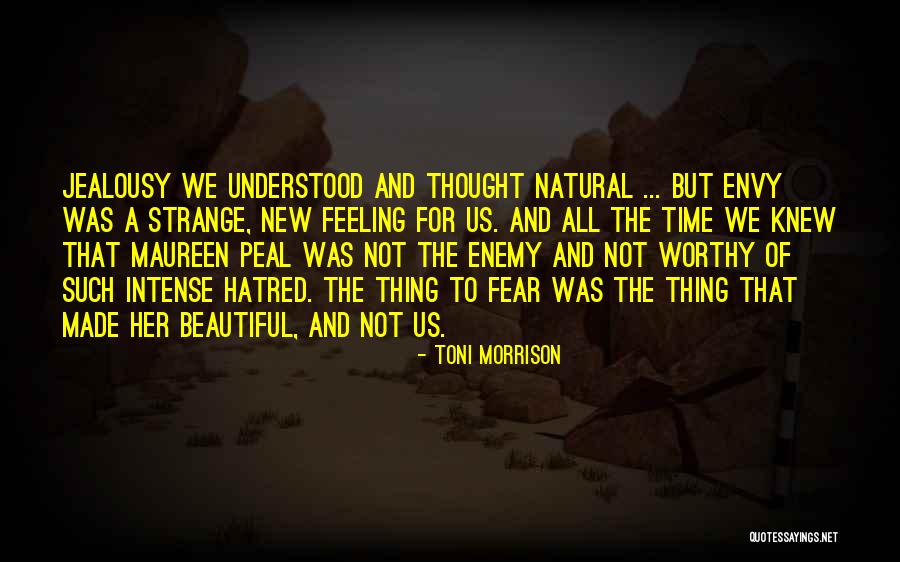 Fear And Hatred Quotes By Toni Morrison Fear And Hatred Quotes By Toni Morrison