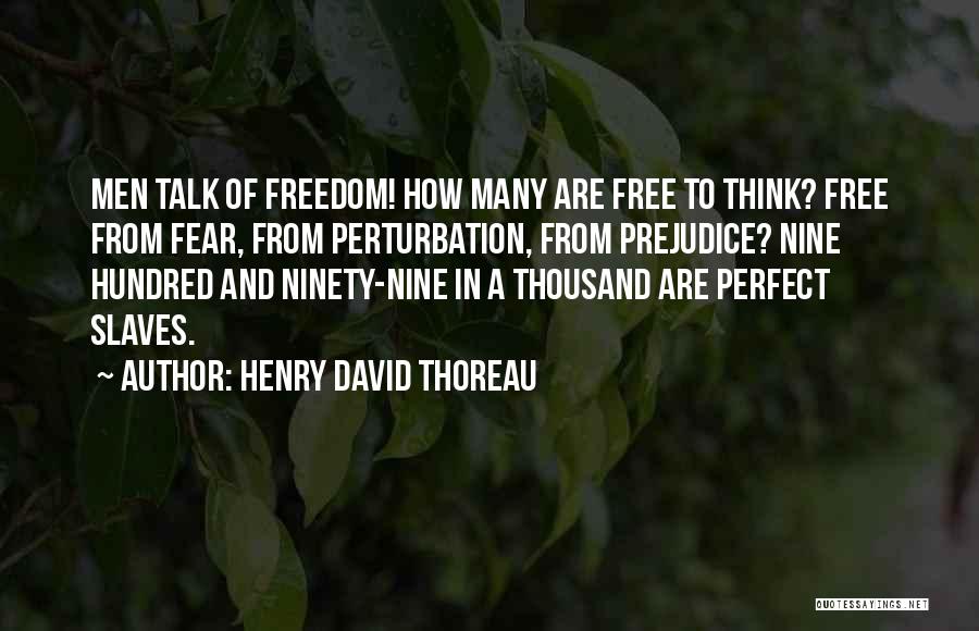 Fear And Prejudice Quotes By Henry David Thoreau