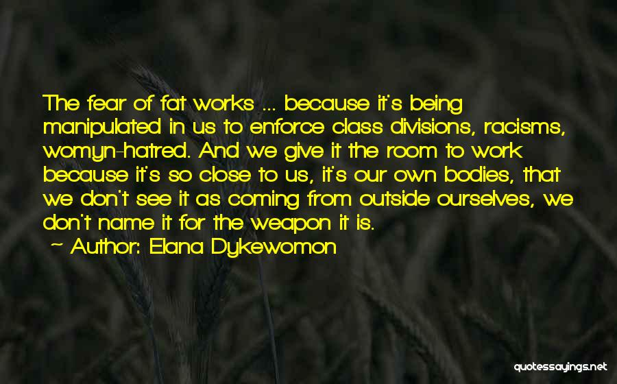 Fear And Racism Quotes By Elana Dykewomon