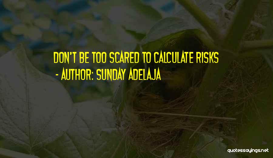 Fear And Risk Taking Quotes By Sunday Adelaja