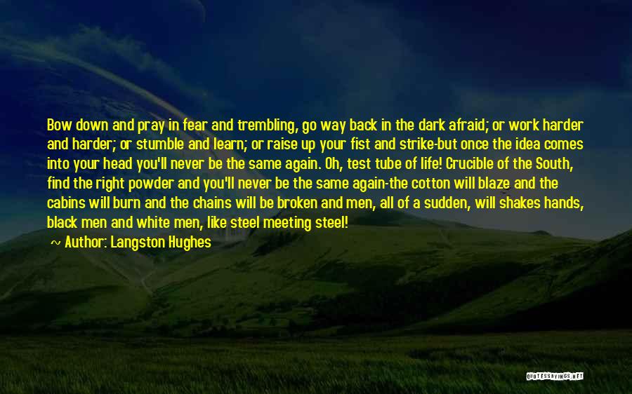 Fear And Trembling Quotes By Langston Hughes