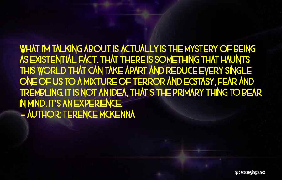 Fear And Trembling Quotes By Terence McKenna