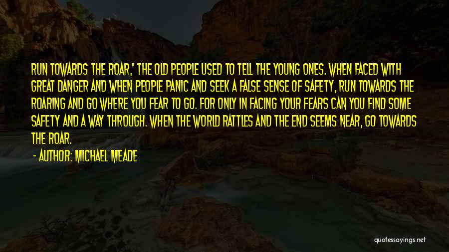 Fear Fear Quotes By Michael Meade