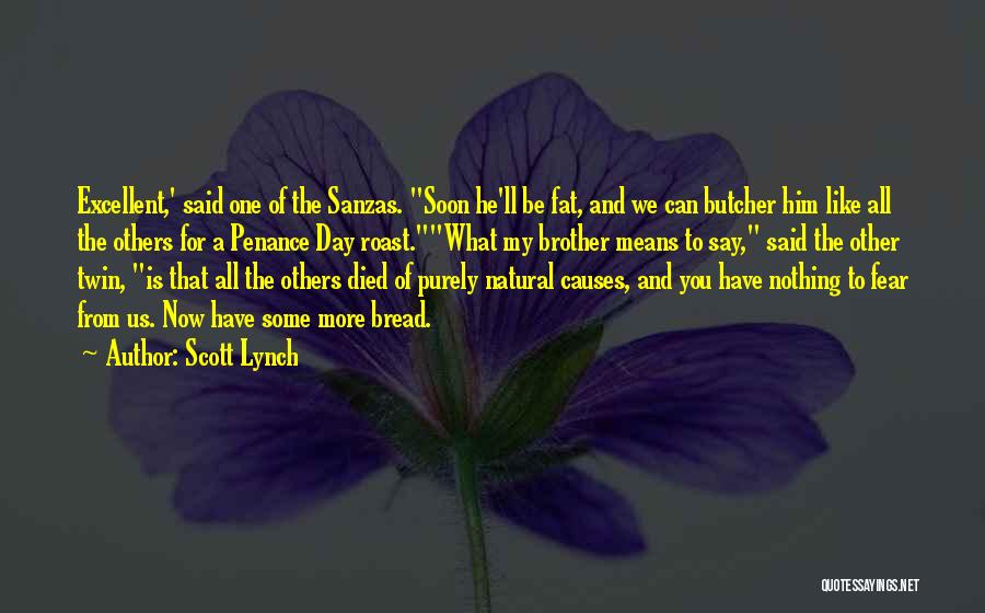 Fear For Others Quotes By Scott Lynch