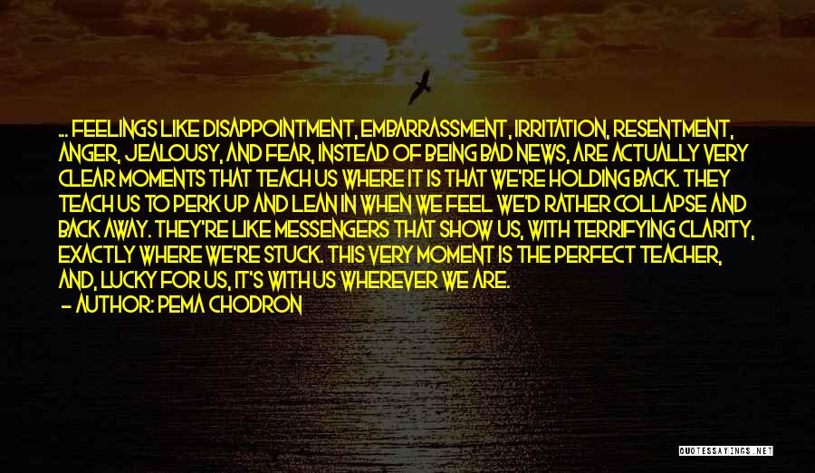 Fear Holding You Back Quotes By Pema Chodron