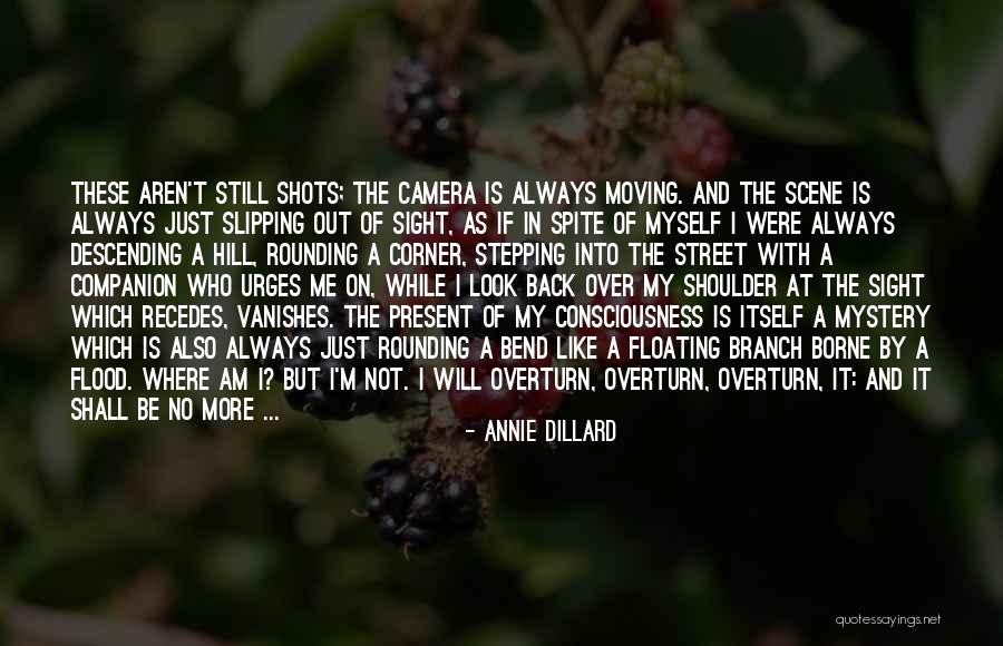 Fear In The Bible Quotes By Annie Dillard