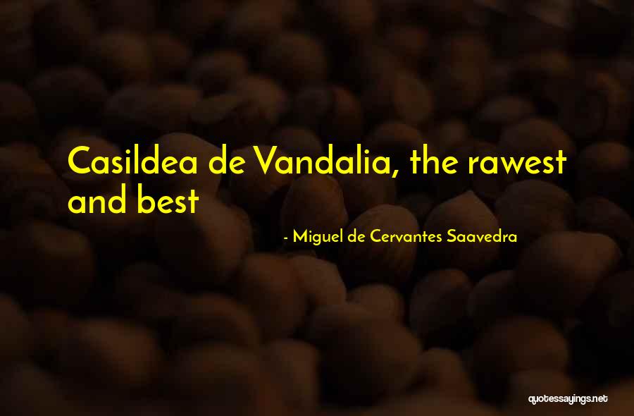 Fear In The Life Of Pi Quotes By Miguel De Cervantes Saavedra Fear In The Life Of Pi Quotes By Miguel De Cervantes Saavedra