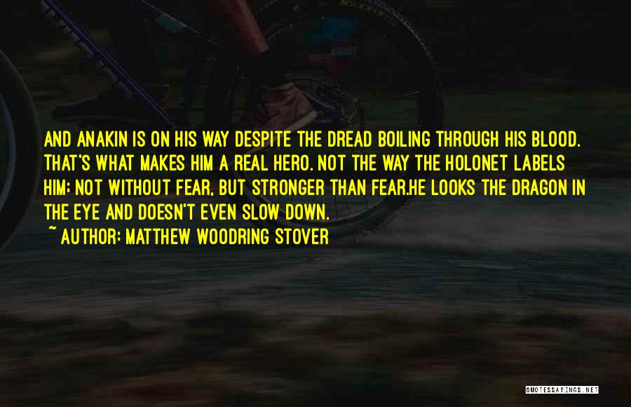 Fear Is Not Real Quotes By Matthew Woodring Stover