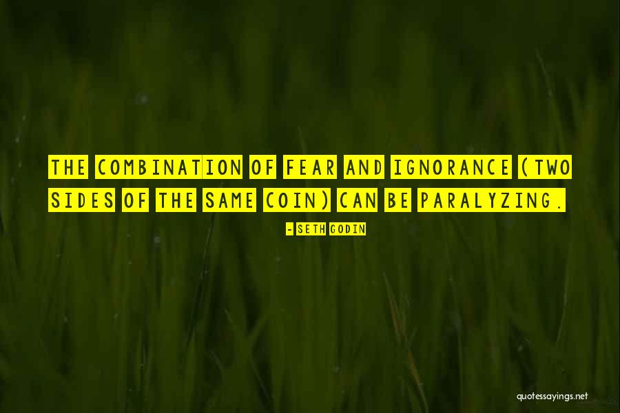Fear Is Paralyzing Quotes By Seth Godin