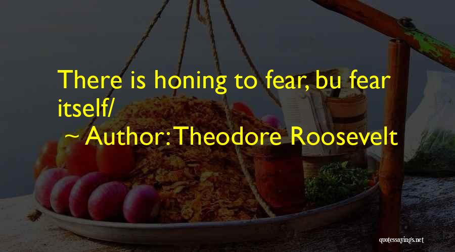 Fear Itself Quotes By Theodore Roosevelt