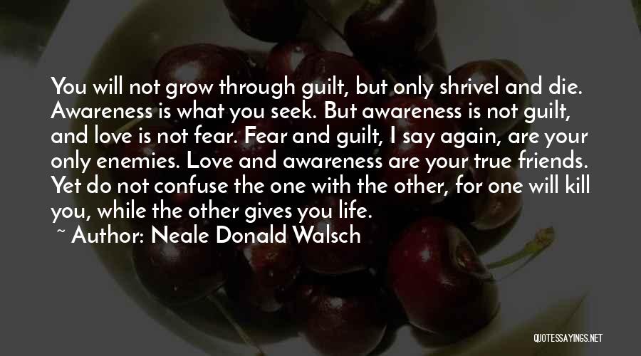 Fear Life Love Quotes By Neale Donald Walsch