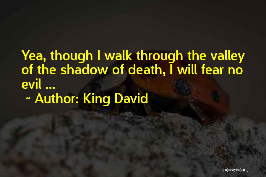 Fear No Death Quotes By King David