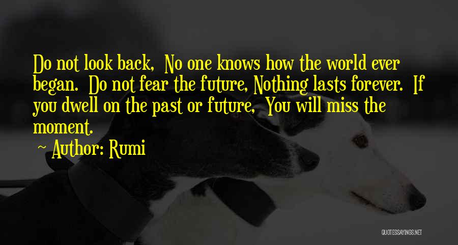 Fear Not The Future Quotes By Rumi