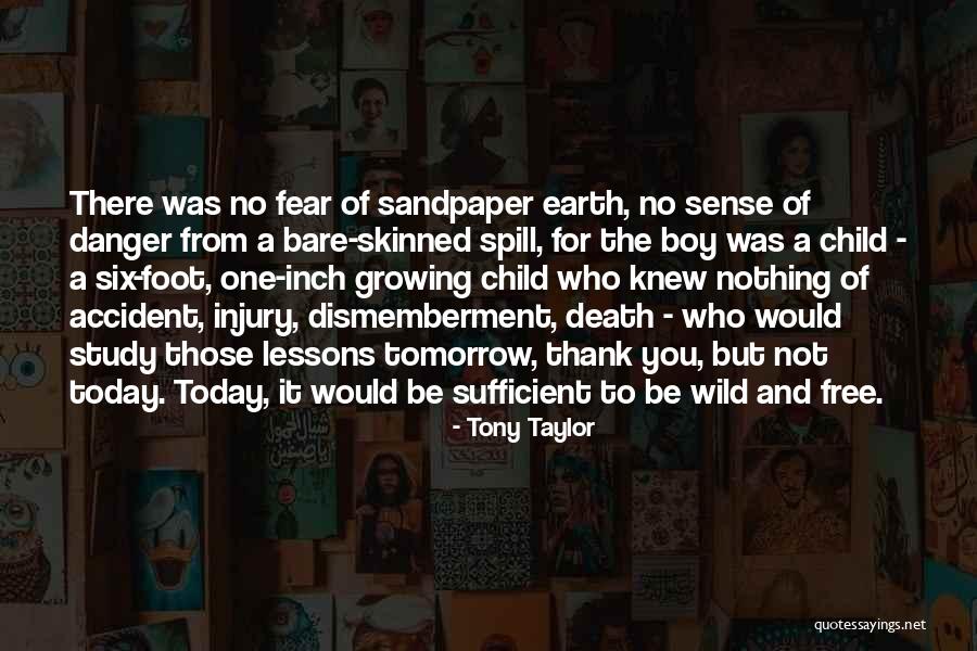 Fear Nothing Quotes By Tony Taylor Fear Nothing Quotes By Tony Taylor