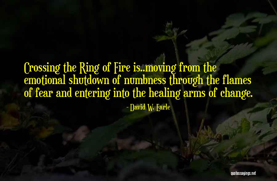 Fear Of Change Quotes By David W. Earle Fear Of Change Quotes By David W. Earle