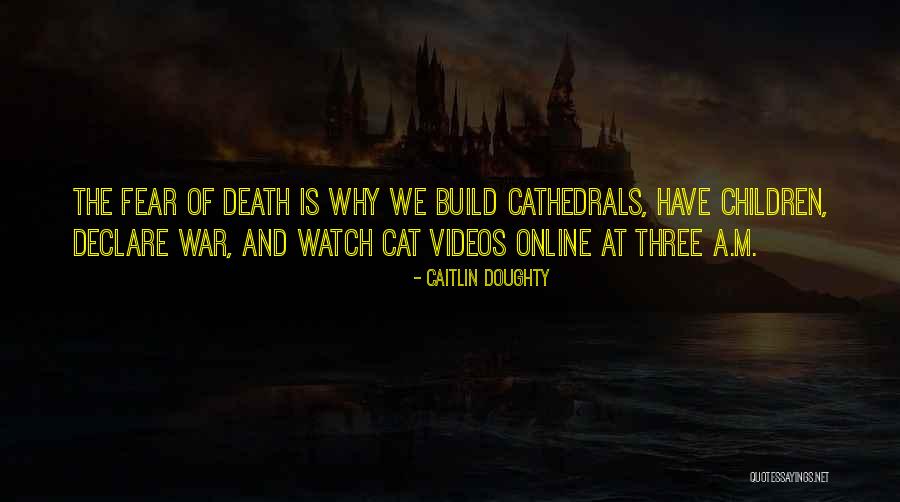 Fear Of Death And Dying Quotes By Caitlin Doughty Fear Of Death And Dying Quotes By Caitlin Doughty