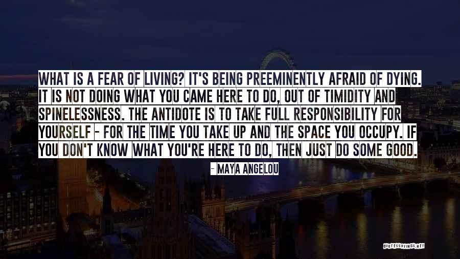 Fear Of Death And Dying Quotes By Maya Angelou Fear Of Death And Dying Quotes By Maya Angelou