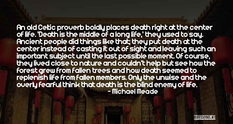 Fear Of Death And Dying Quotes By Michael Meade Fear Of Death And Dying Quotes By Michael Meade