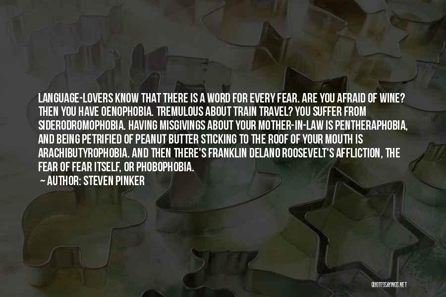 Fear Of Fear Itself Quotes By Steven Pinker