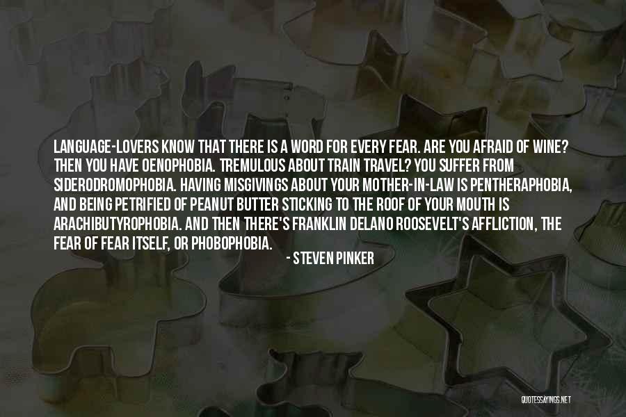 Fear Of Fear Itself Quotes By Steven Pinker