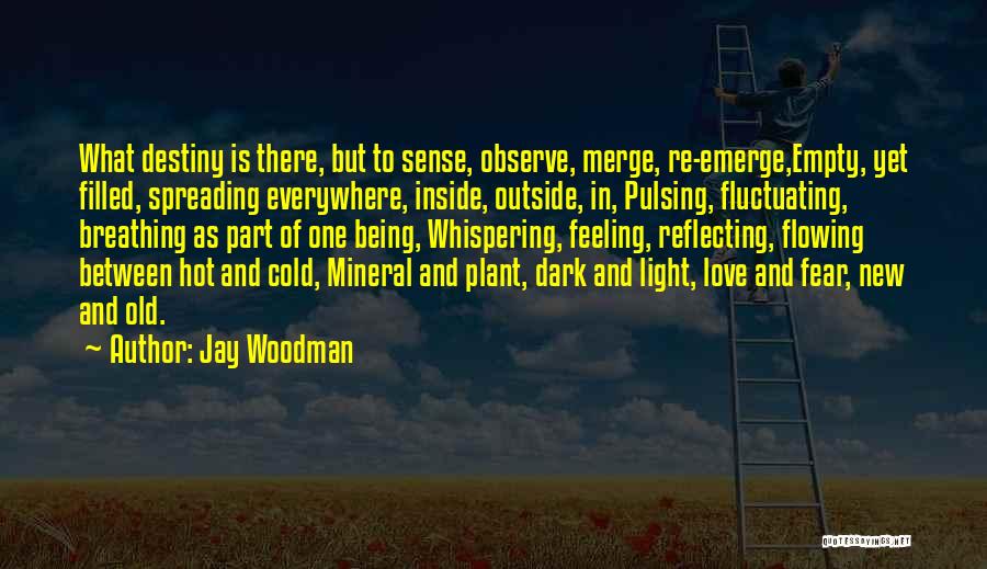 Fear Of New Love Quotes By Jay Woodman