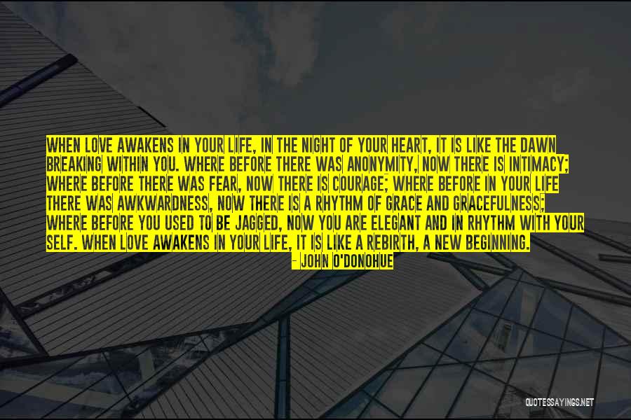 Fear Of New Love Quotes By John O'Donohue Fear Of New Love Quotes By John O'Donohue