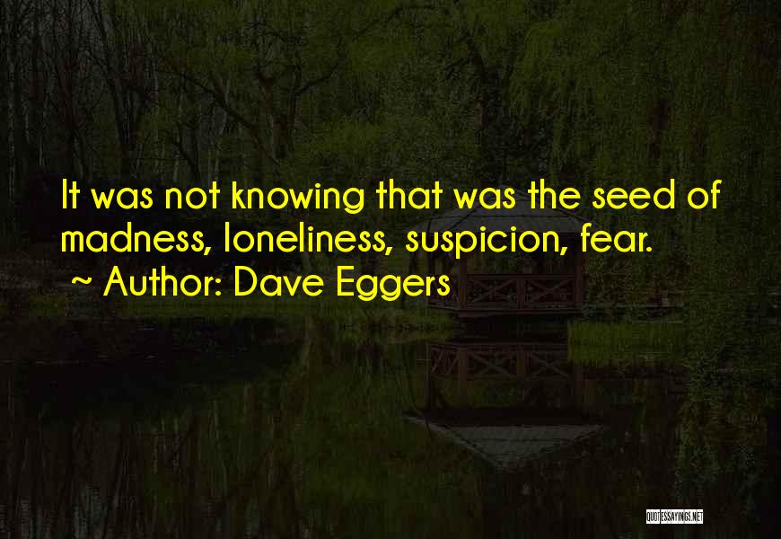 Fear Of Not Knowing Quotes By Dave Eggers