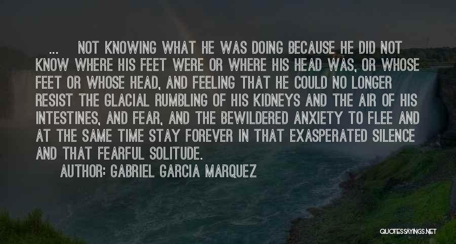 Fear Of Not Knowing Quotes By Gabriel Garcia Marquez