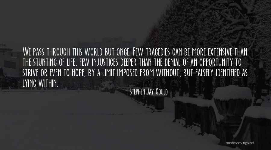 Fear Of Opportunity Quotes By Stephen Jay Gould Fear Of Opportunity Quotes By Stephen Jay Gould
