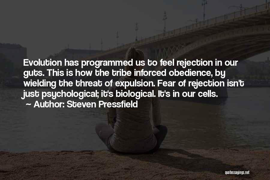 Fear Of Rejection Quotes By Steven Pressfield