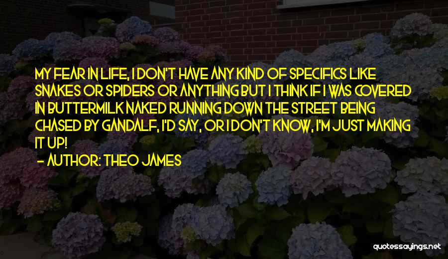 Fear Of Spiders Quotes By Theo James