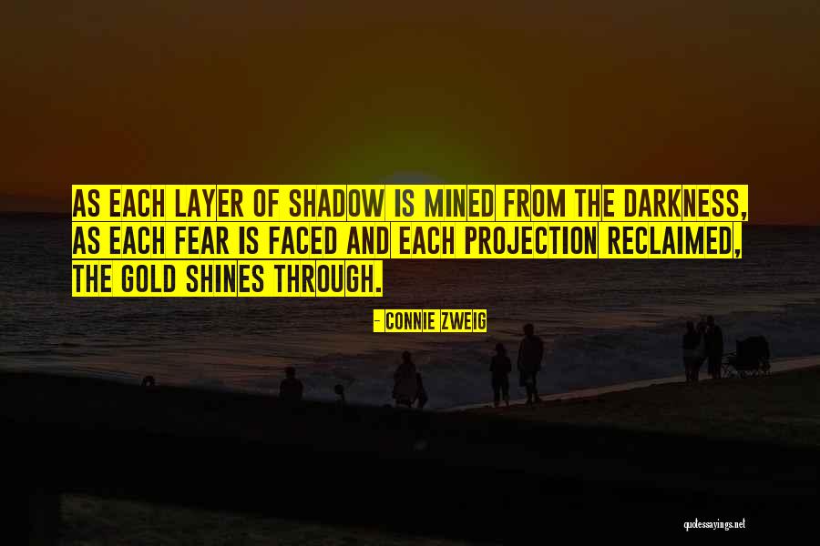 Fear One S Shadow Quotes By Connie Zweig Fear One S Shadow Quotes By Connie Zweig