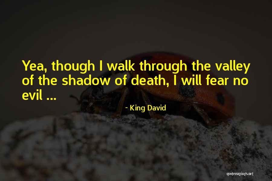 Fear One S Shadow Quotes By King David Fear One S Shadow Quotes By King David
