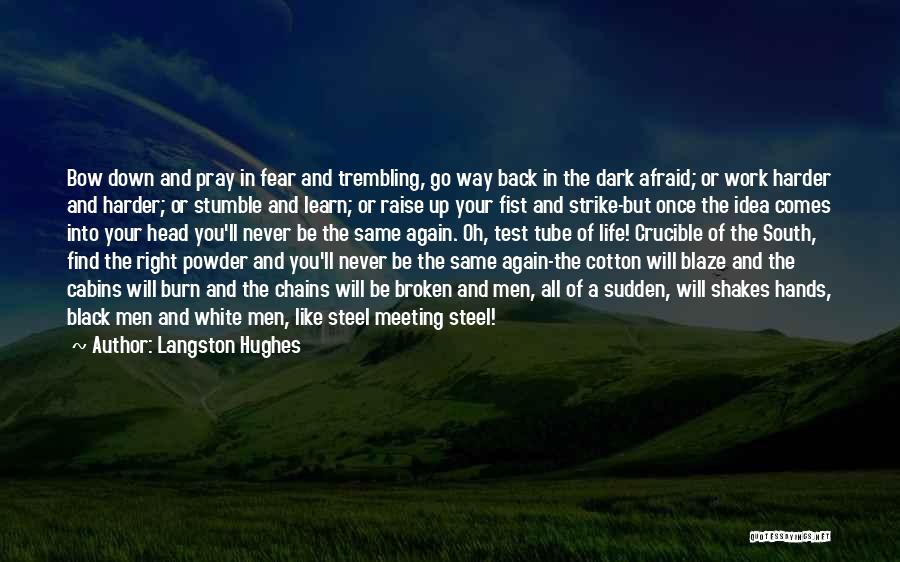 Fear The Dark Quotes By Langston Hughes