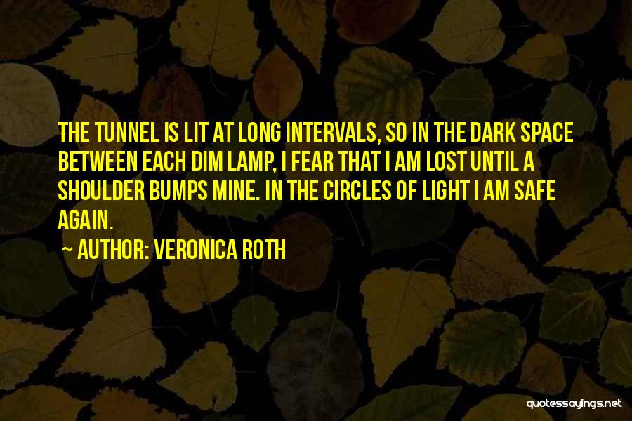 Fear The Dark Quotes By Veronica Roth