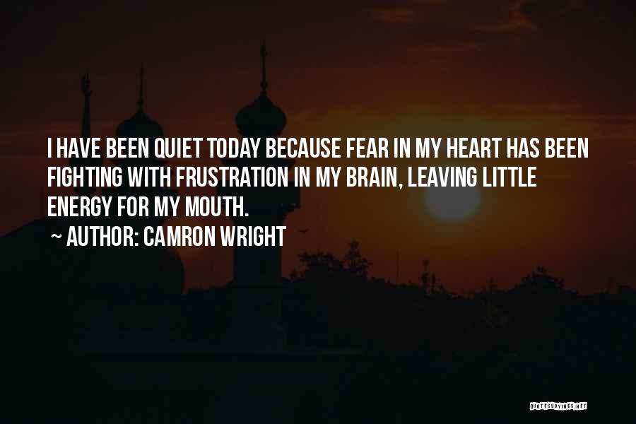 Fear The Quiet Ones Quotes By Camron Wright