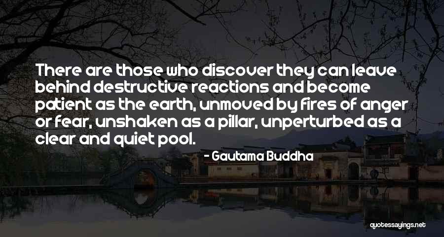 Fear The Quiet Ones Quotes By Gautama Buddha