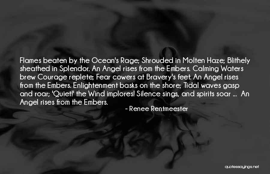 Fear The Quiet Ones Quotes By Renee Rentmeester