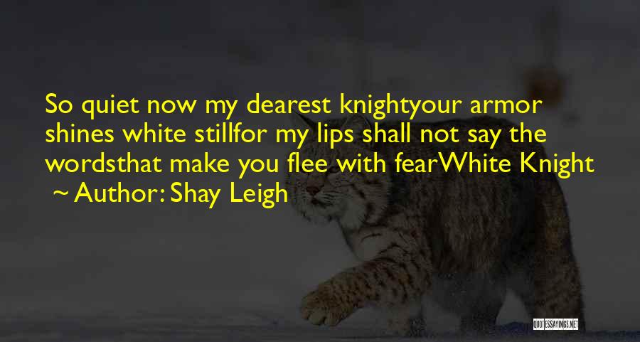 Fear The Quiet Ones Quotes By Shay Leigh
