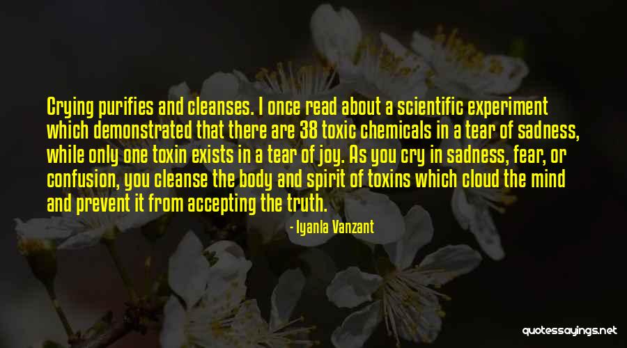 Fear The Truth Quotes By Iyanla Vanzant Fear The Truth Quotes By Iyanla Vanzant