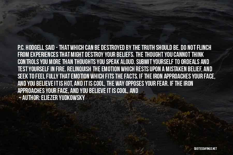 Fear To Speak Quotes By Eliezer Yudkowsky