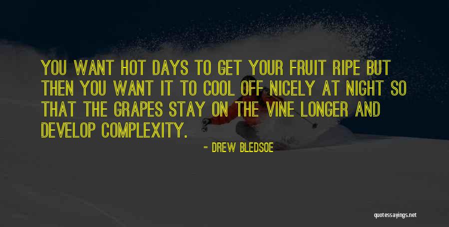 Feara Quotes By Drew Bledsoe Feara Quotes By Drew Bledsoe