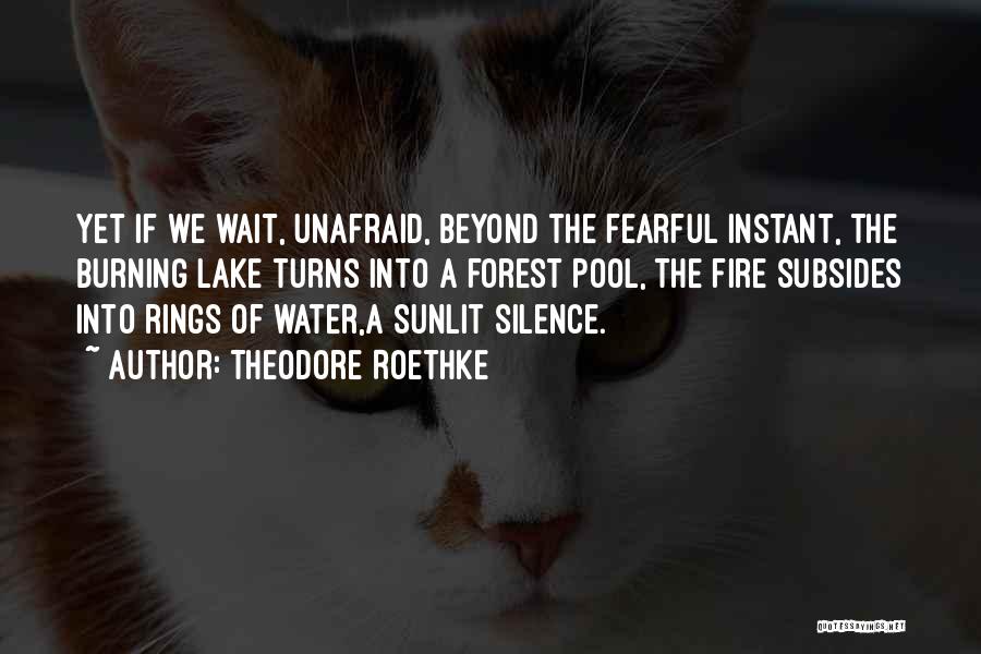 Fearful Quotes By Theodore Roethke