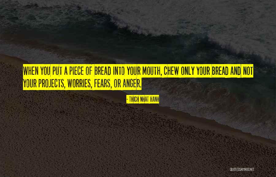 Fears And Worries Quotes By Thich Nhat Hanh